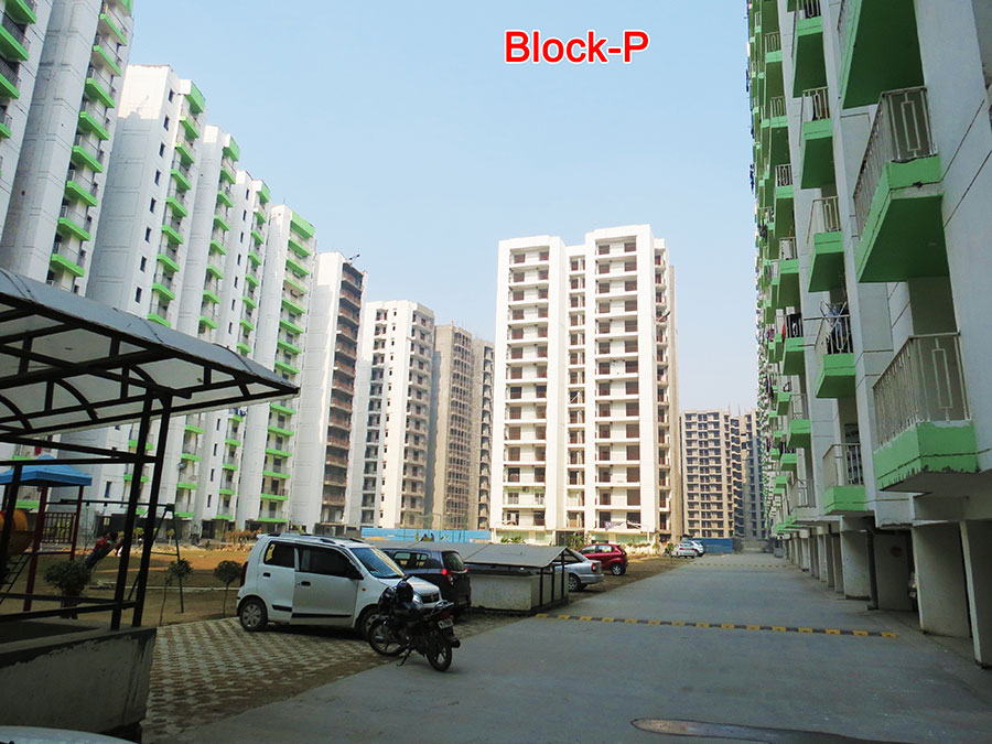 Portfolio Image